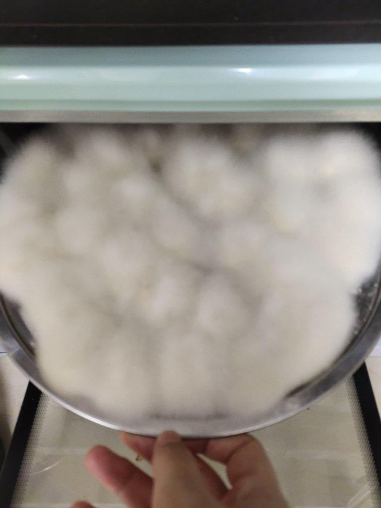 自制腐乳  臭豆腐 超简单