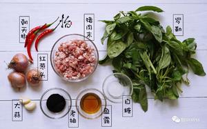 怡s【罗勒炒肉末
Fried Basil and Pork】 名符其实的米饭杀手！的做法 步骤1