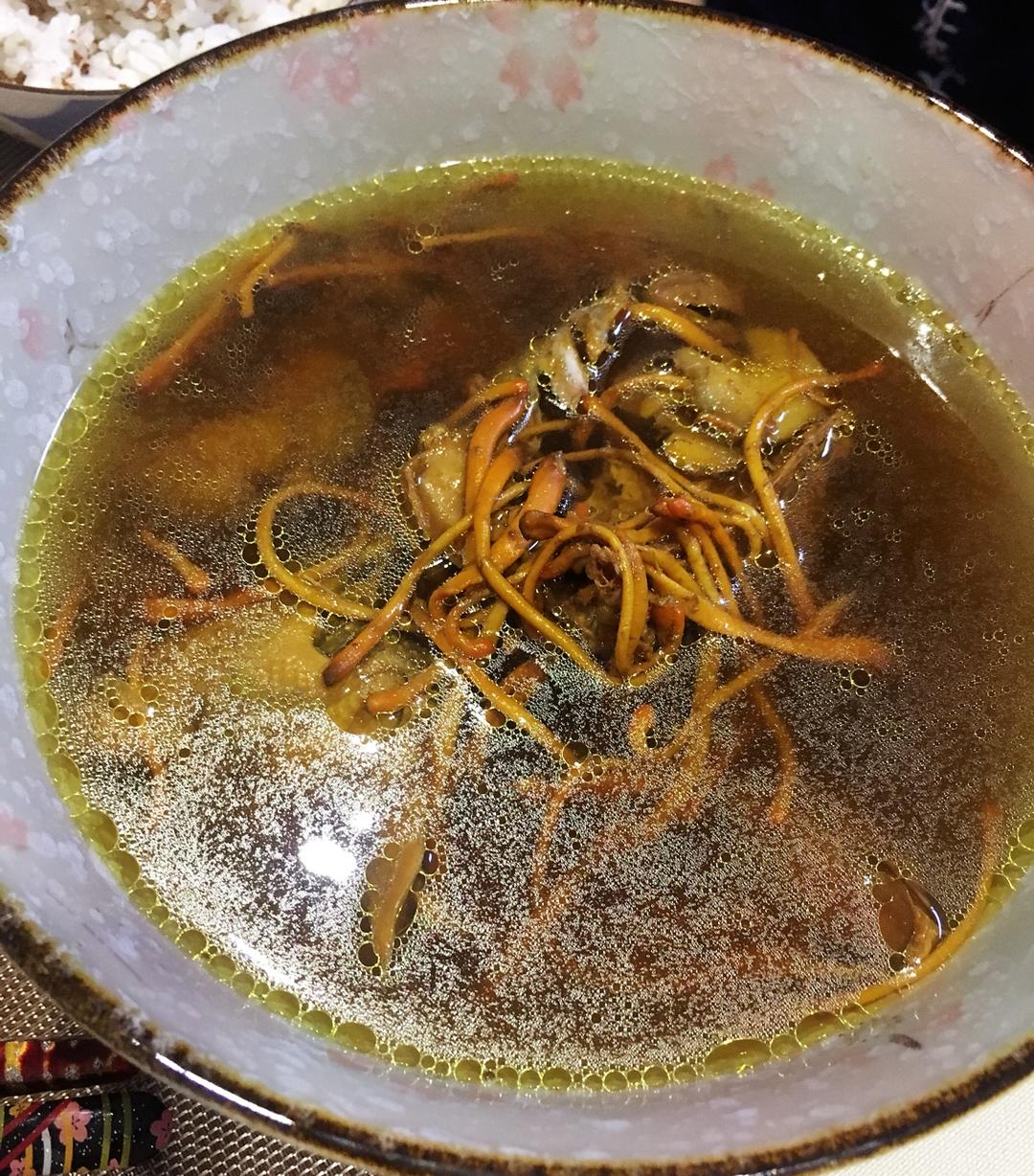 虫草花炖鸽子汤