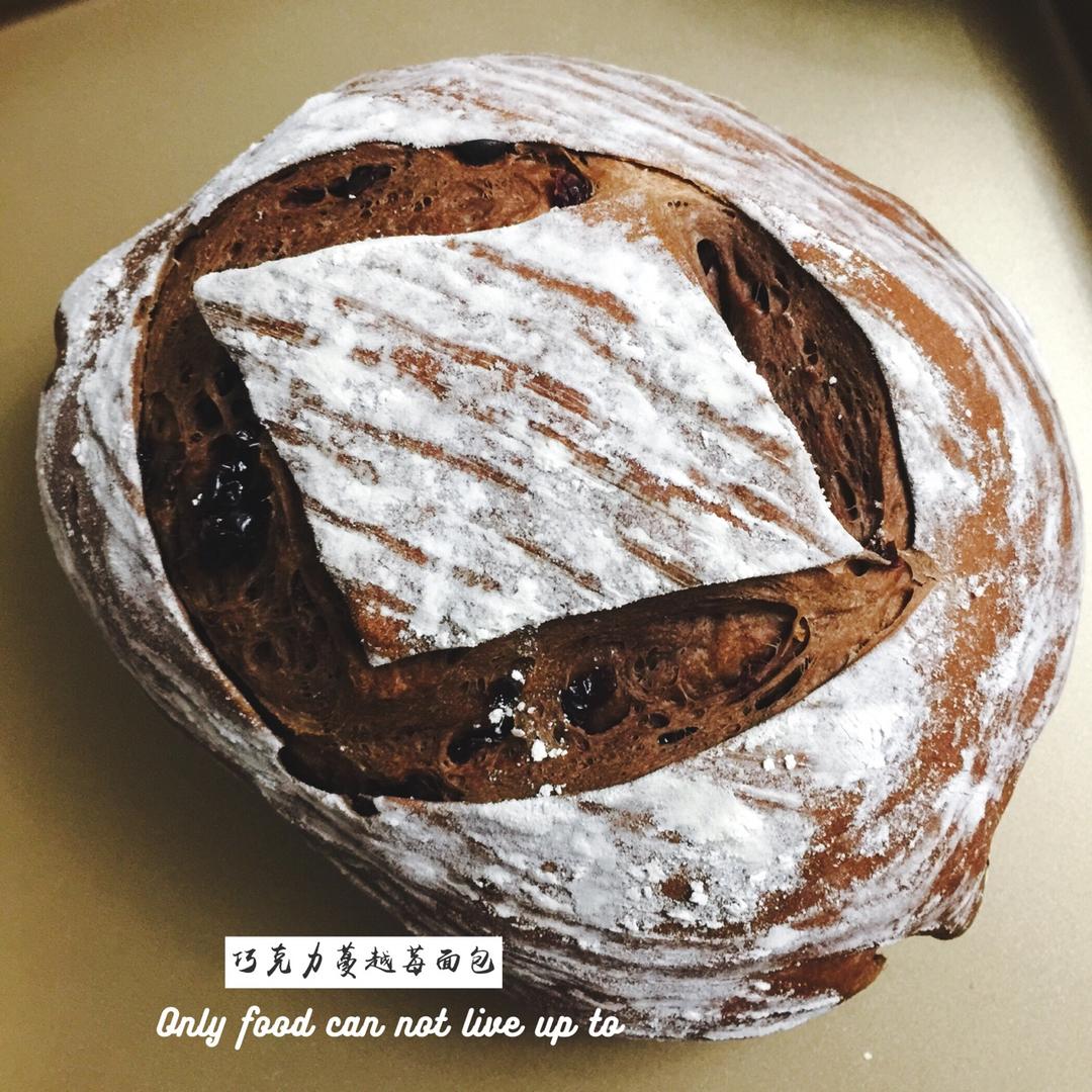 巧克力蔓越莓软欧 Rano Bread