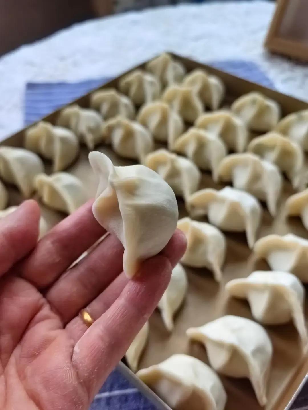 秋日必吃/猪肉茭白馅饺子