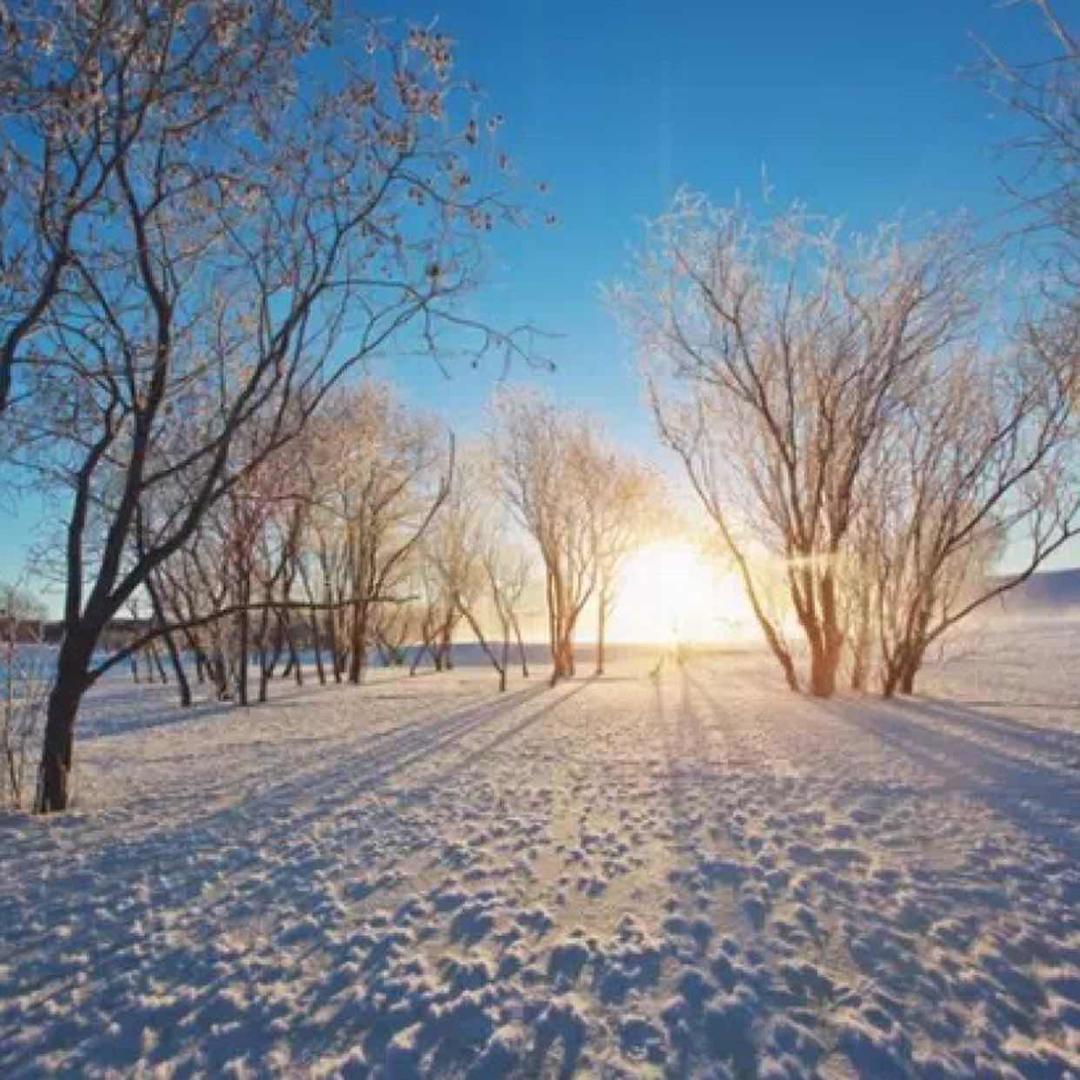 手机用户8198_10wl