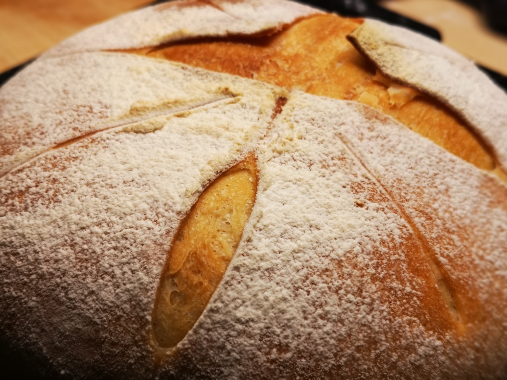 不加糖不加黄油好吃又好看的波兰酵种面包的做法