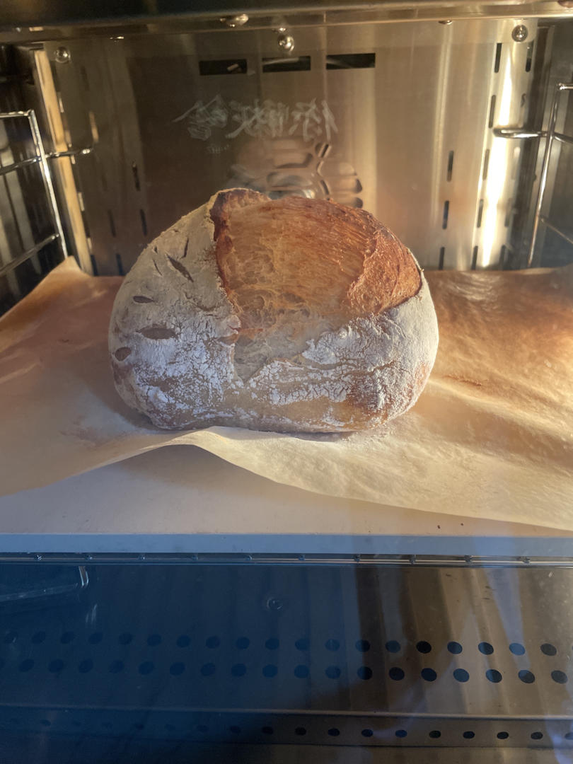 欧包&星野酵母版（割包视频）