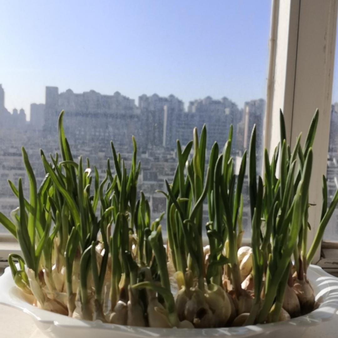 未来要做不同种类的美食