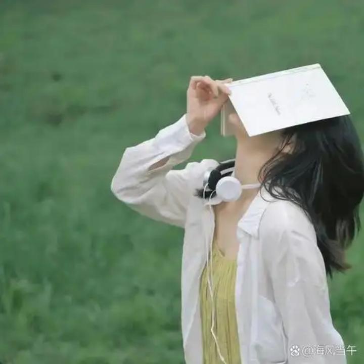 黛巽