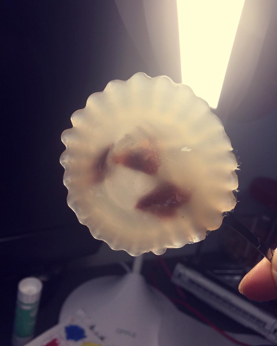 钵仔糕