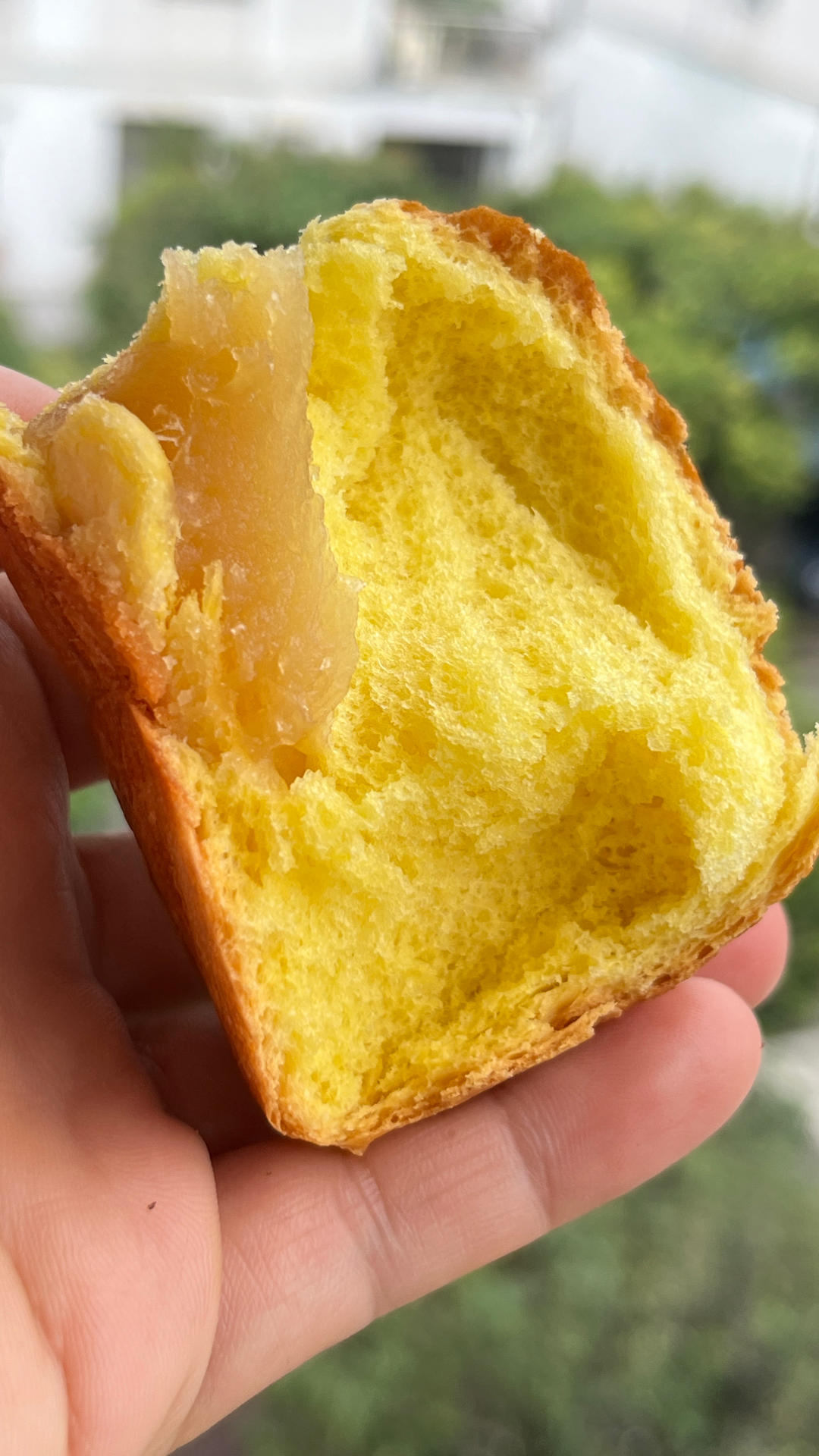 南瓜奶油小餐包（一次发酵）