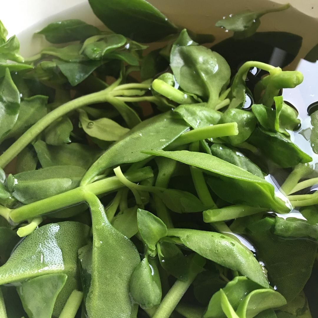 aaaa111222做的凉拌田七