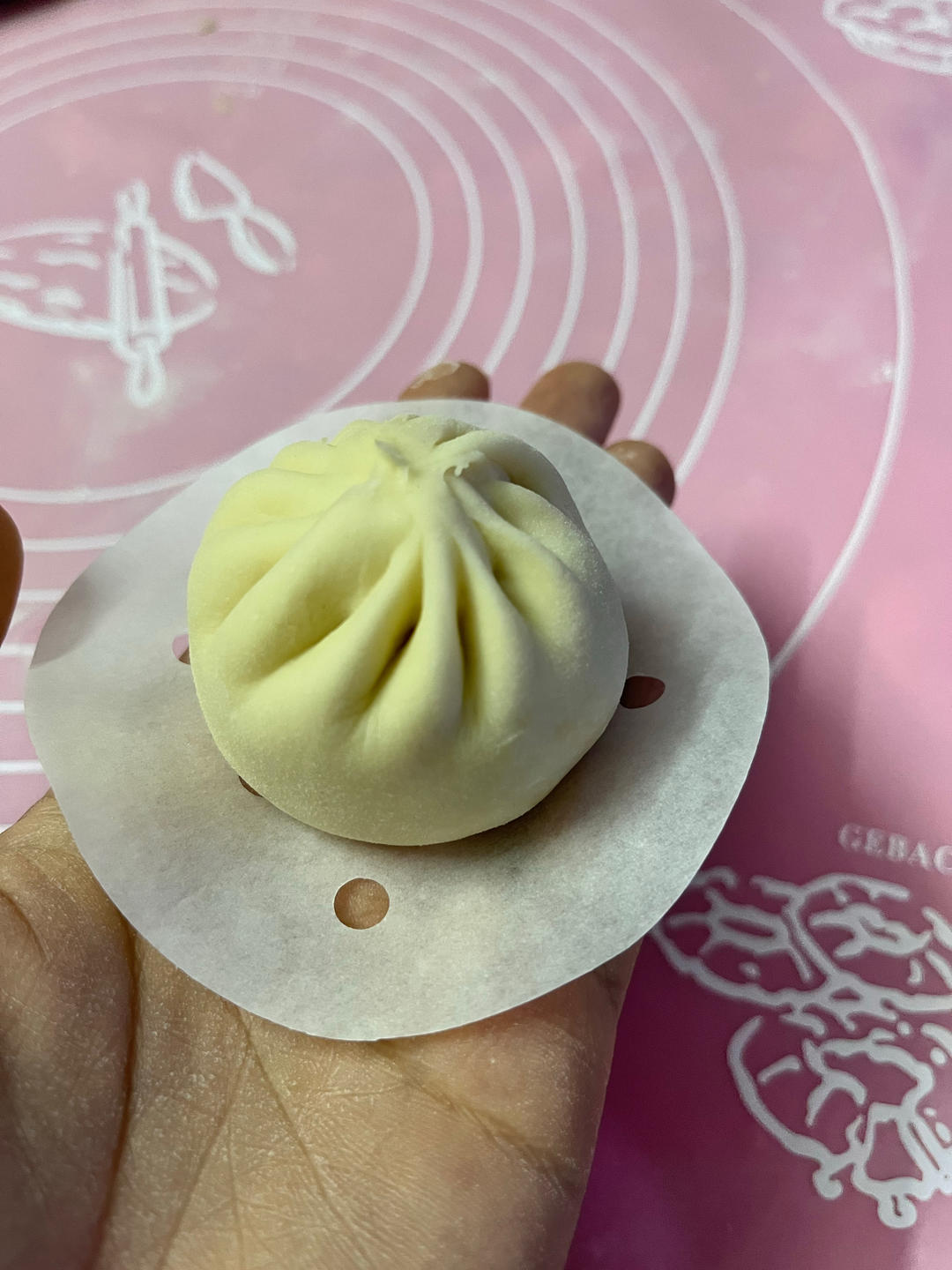 【包子那点儿事】