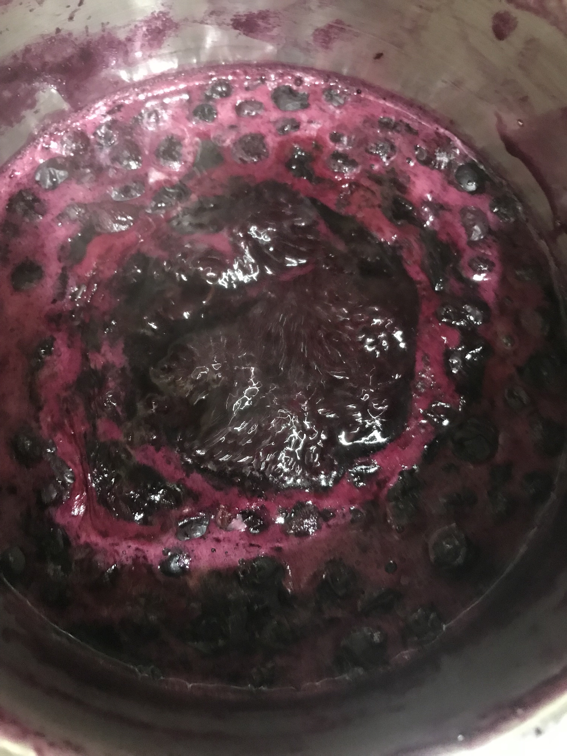自制蓝莓酱的做法 步骤3