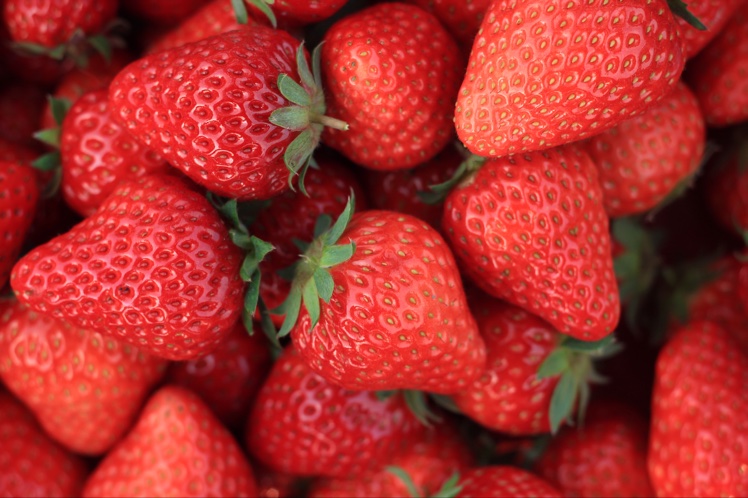 今冬第一颗草莓