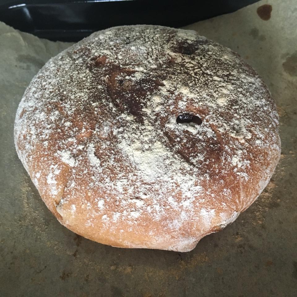 免揉意大利拖鞋面包ciabatta（吐血整理史上最全藤田千秋免揉欧包制作心得）