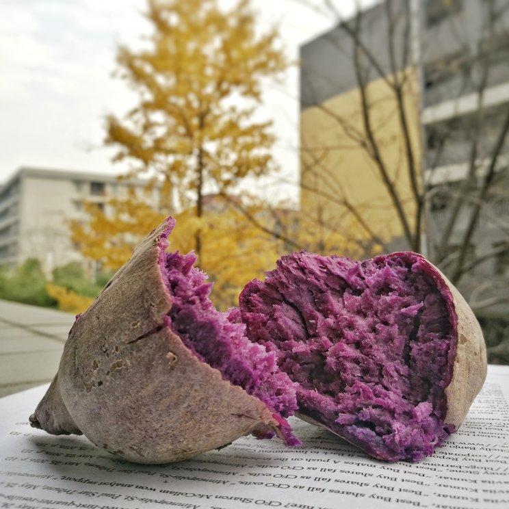 炒鸡省事的烤紫薯（微波炉版）