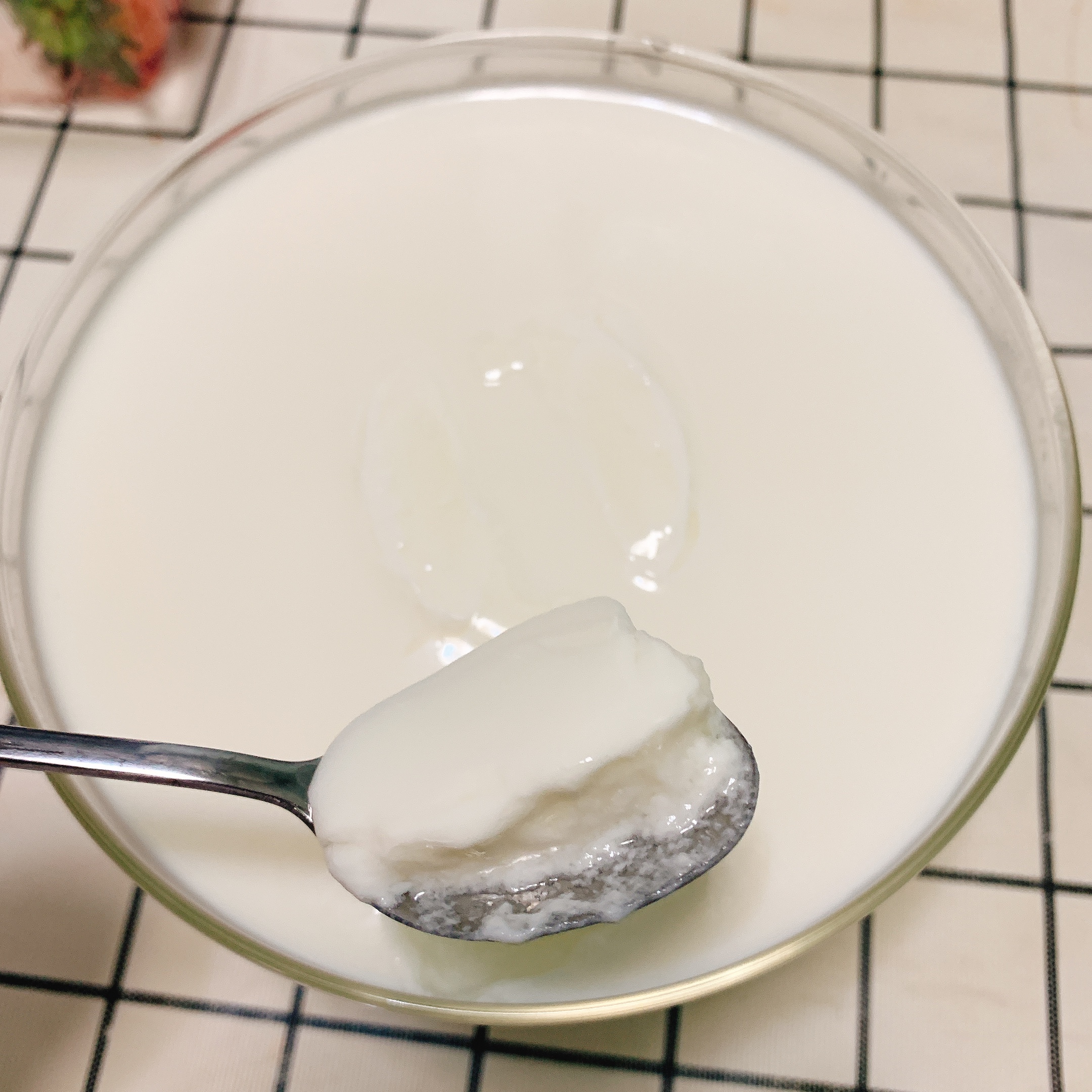 厨房小白的自制酸奶