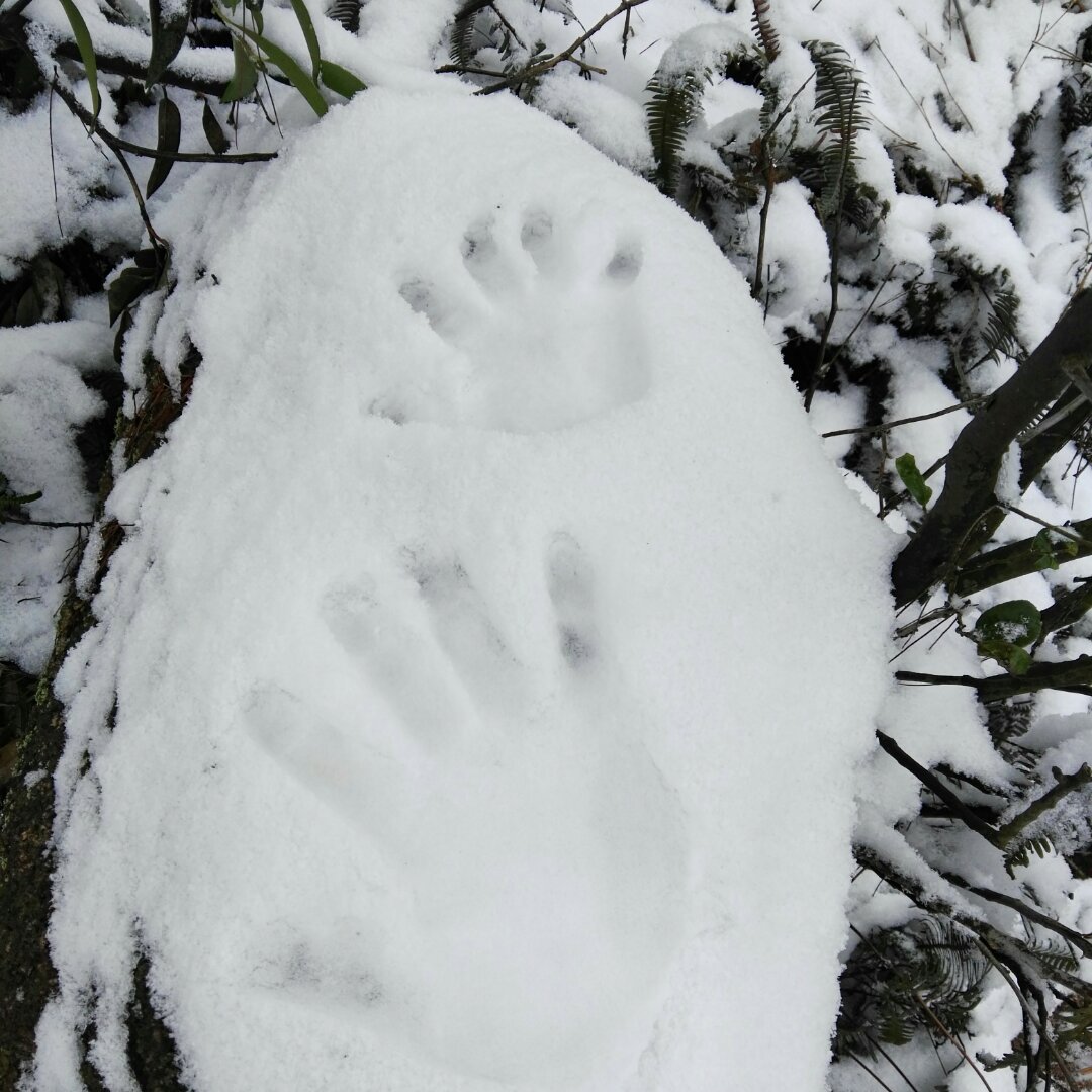 楠妈烘培的厨房