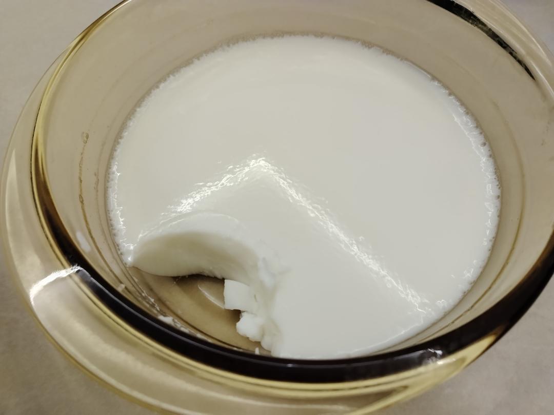 牛奶布丁