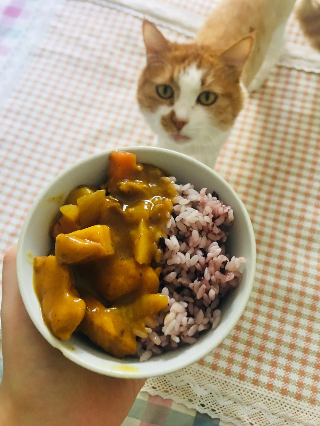 咖喱鸡饭