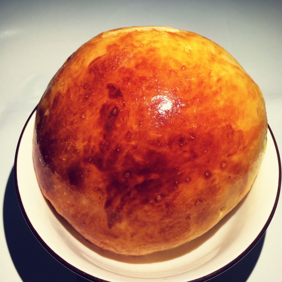 汉堡胚（中种法）