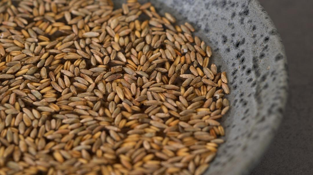 自制燕麦片｜看着燕麦粒被压成燕麦片的过程，真的好解压啊！的做法 步骤1