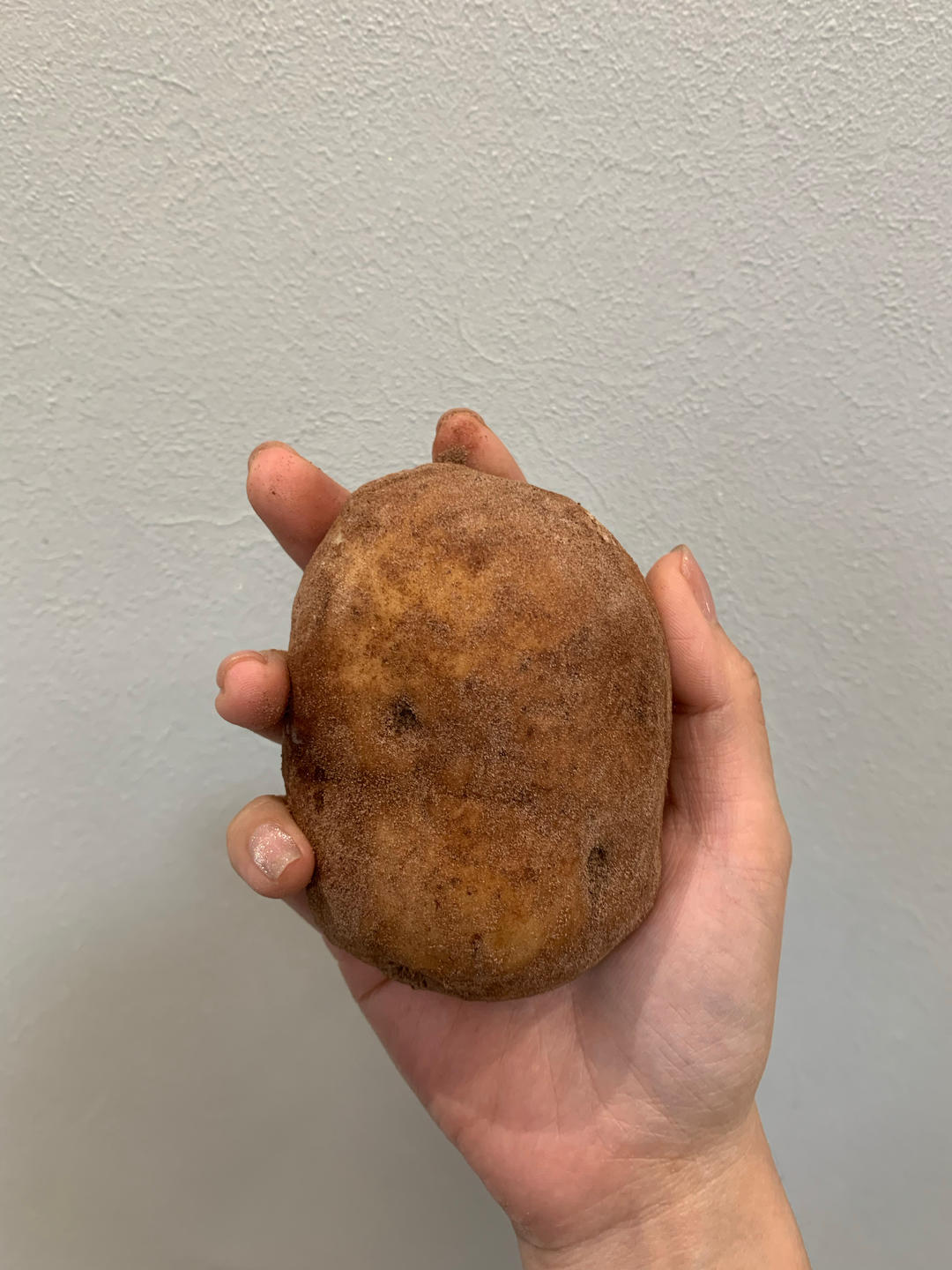 🥔土豆面包早餐包