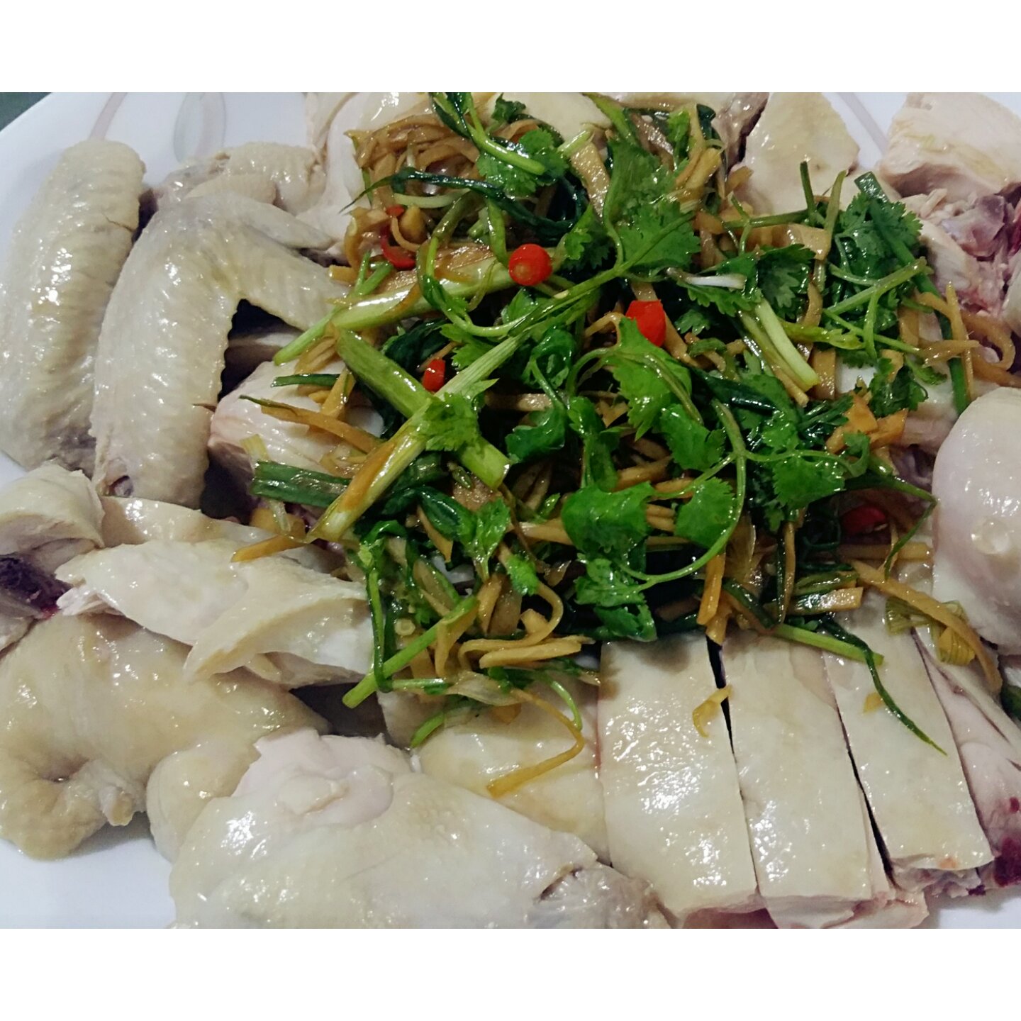 原味地道新加坡鸡饭