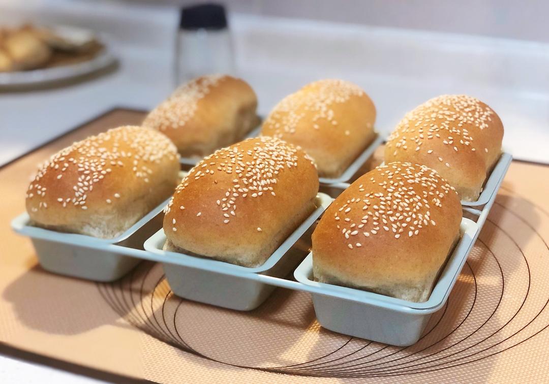 全麦汉堡胚（一次发酵）