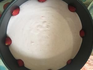 奥利奥草莓酸奶慕斯（鱼胶版）的做法 步骤7