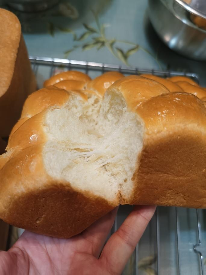 纯奶手撕吐司的做法 步骤1