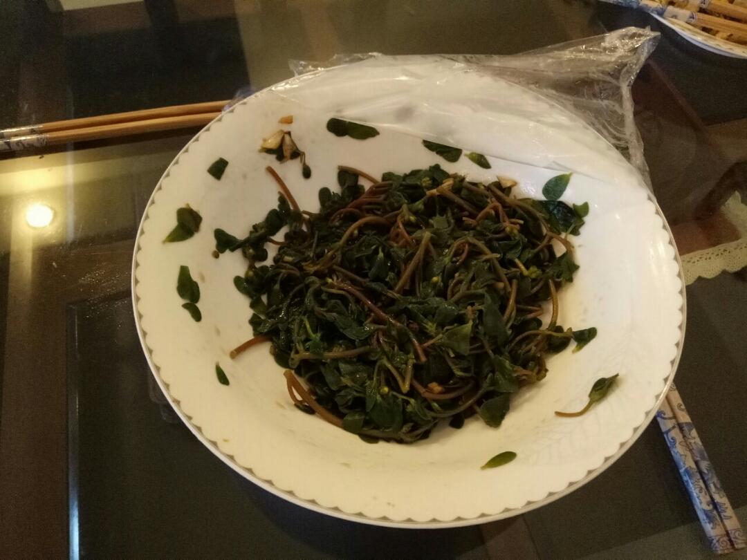 凉拌马齿苋