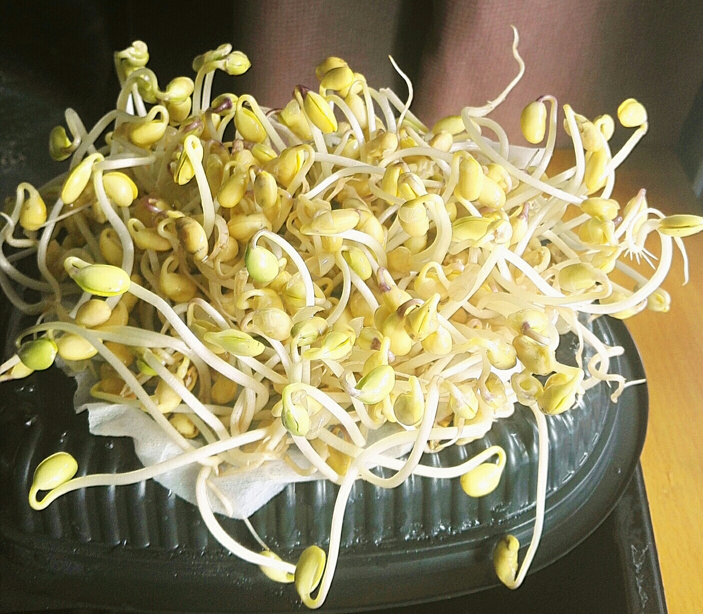 用50克黄豆，泡发黄豆芽的做法