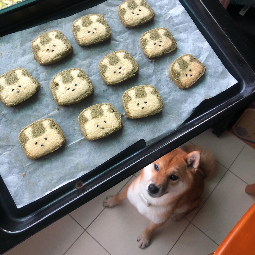 抹茶兔兔曲奇（比熊猫简单！超详细实物图+超良心手绘图）