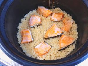 给家人最营养健康的每一餐-日式鲑鱼焖饭的做法 步骤12