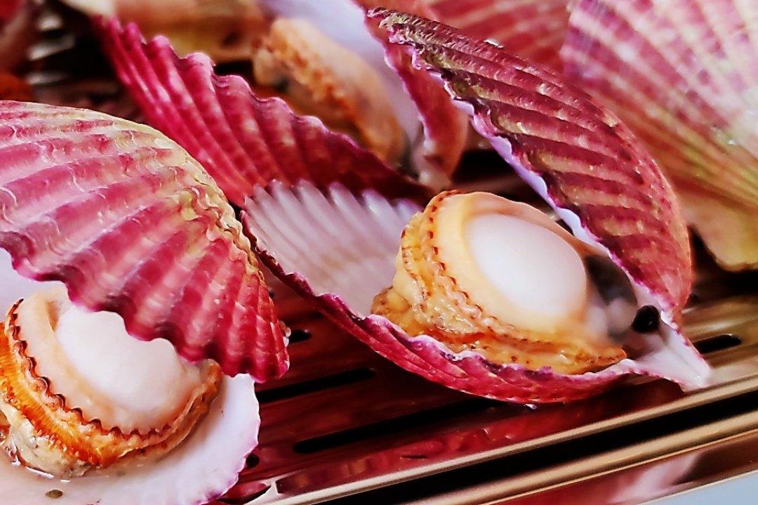 原味清蒸扇贝—摩飞极速蒸炖锅食谱