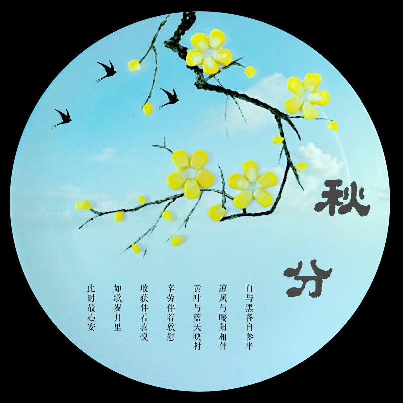 我的美丽盘画