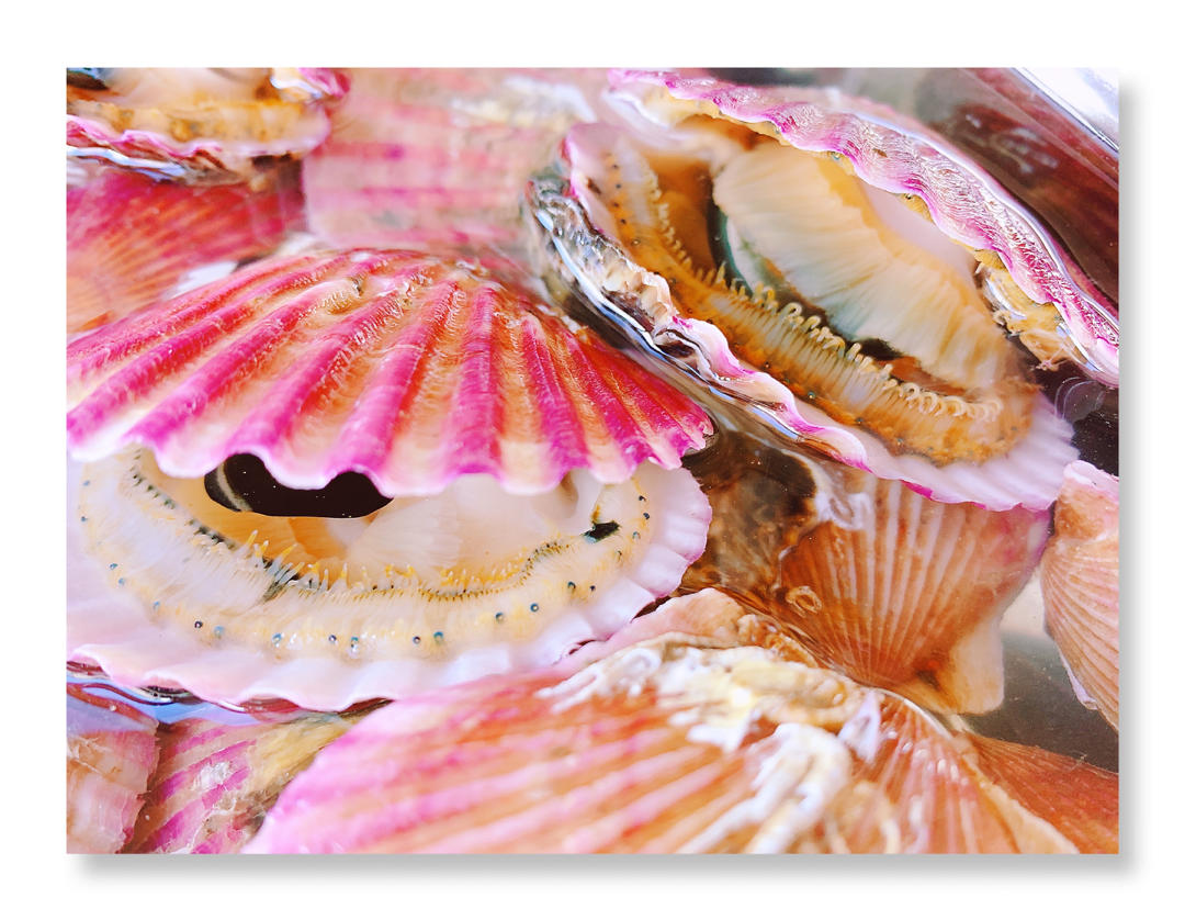 瑞利山和瑞丽安的食堂