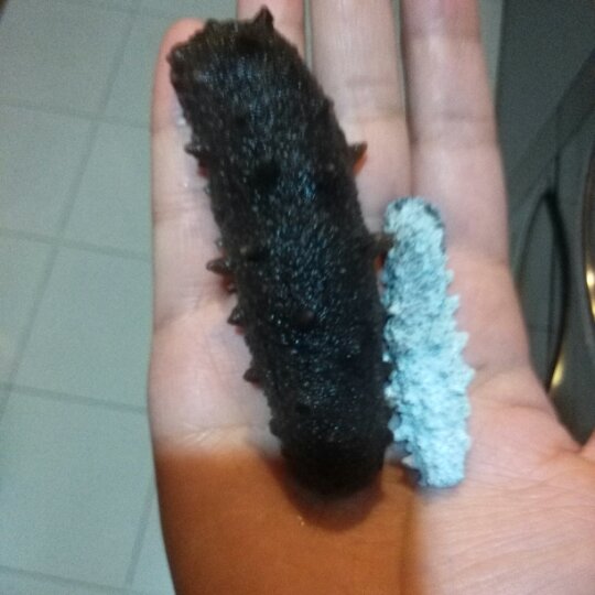 史上最方便、最节能的【私房海参发制法】