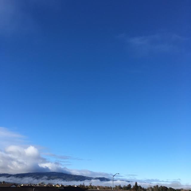 早餐•2019年2月10日