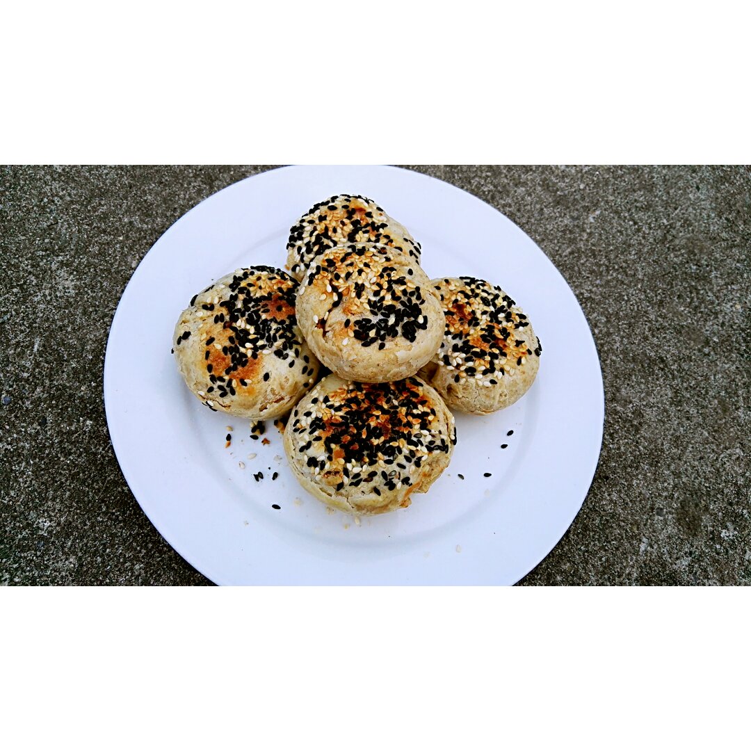 胡思乱想~肉松椒盐月饼或烧饼