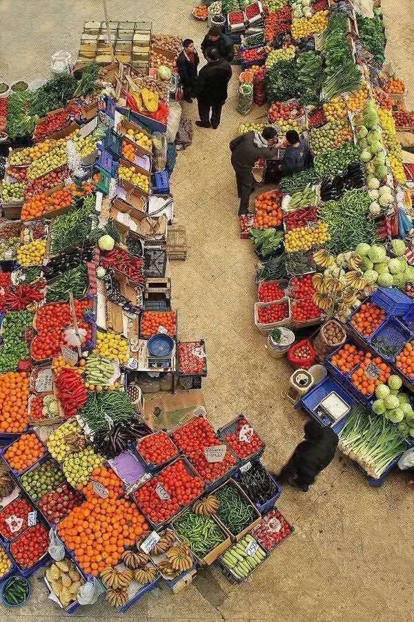 一些个挑菜技巧