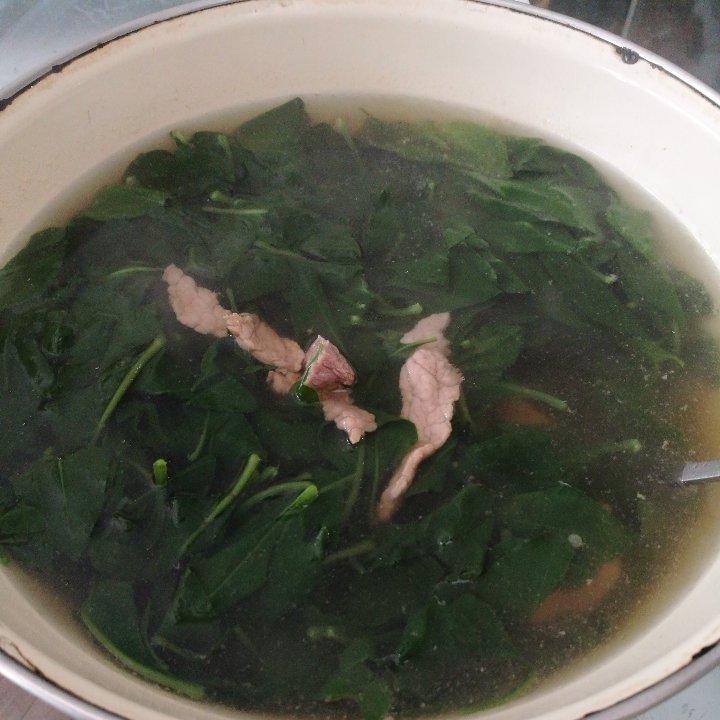 枸杞叶猪肝瘦肉汤