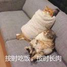 爱吃不爱学的Momo