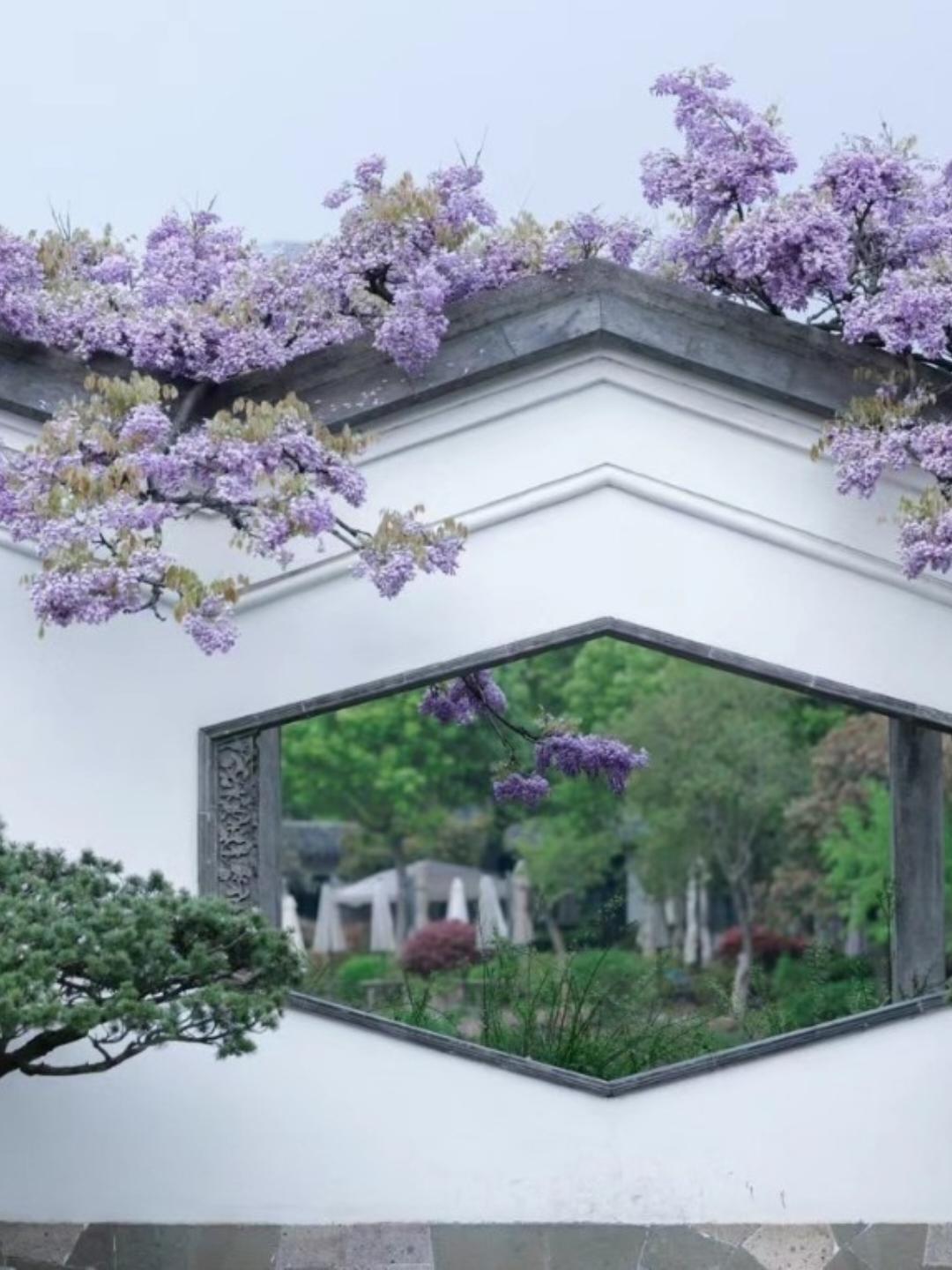 下厨房用户_kgqva