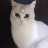 安生如沫-