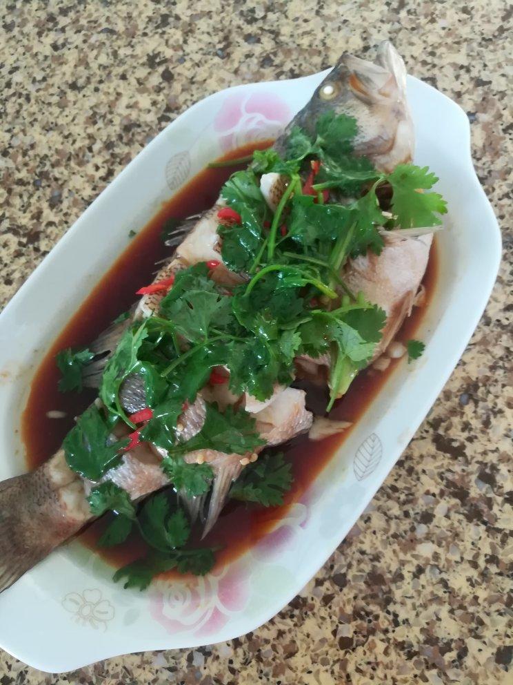 清蒸鲈鱼
