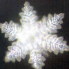 冰雪菇凉