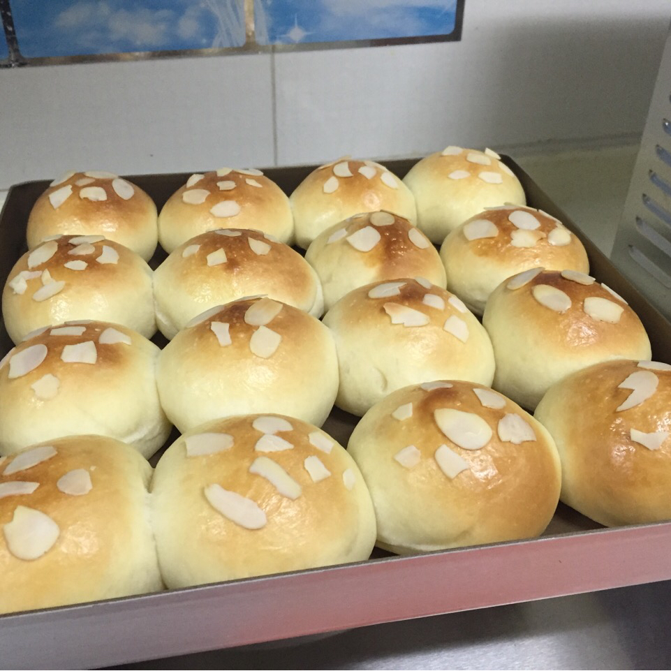 鲜奶油小餐包（一次发酵）