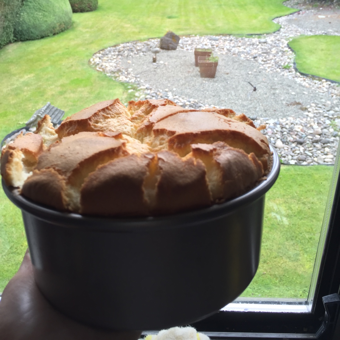 青井老师の原味戚风