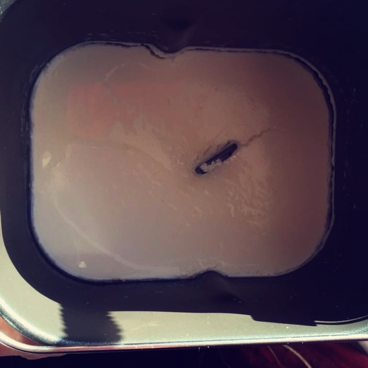 自制老酸奶