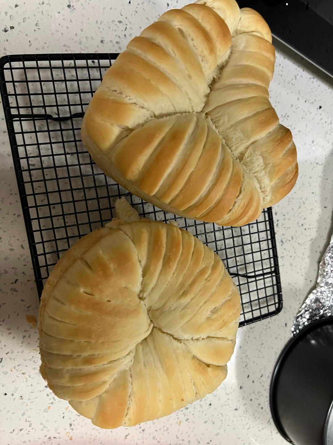 特浓椰皇手撕面包 ❘ 可爱の毛线球面包🧶系列